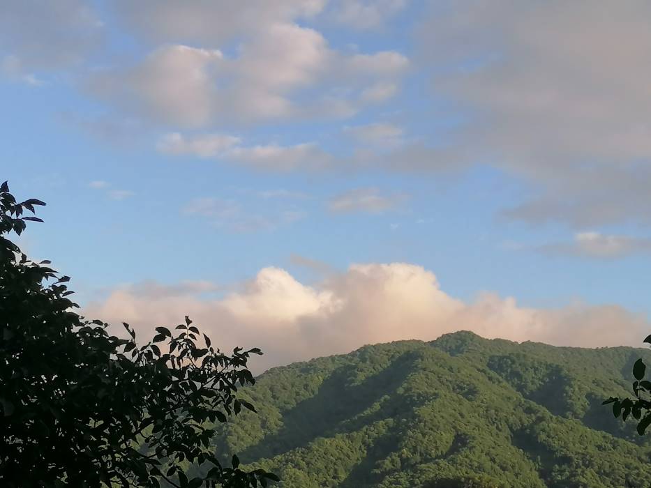 穿梭千年，文物“活”在當(dāng)下 ——蘇州大學(xué)“哲學(xué)+”實(shí)踐團(tuán)走進(jìn)天水市仙人崖石窟